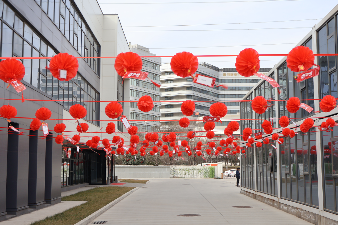 欧中科技开展“蛇年迎春到 欢聚闹元宵”主题活动