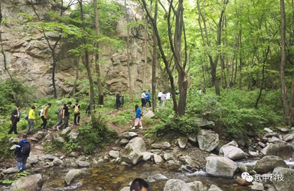 携手攀至顶峰处，比肩共望云起时