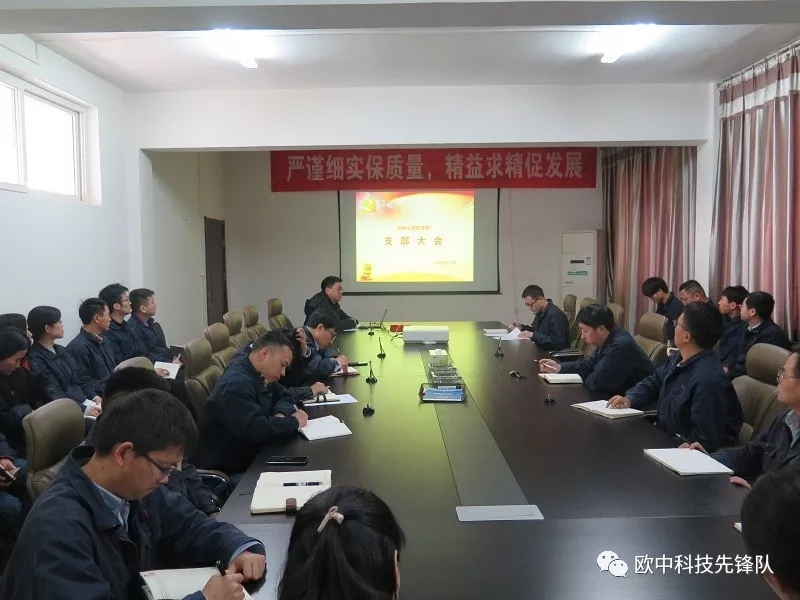 【党建新闻】欧中公司党支部召开2019年一季度支部大会